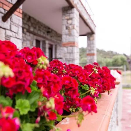 Appartement Theano Toroni