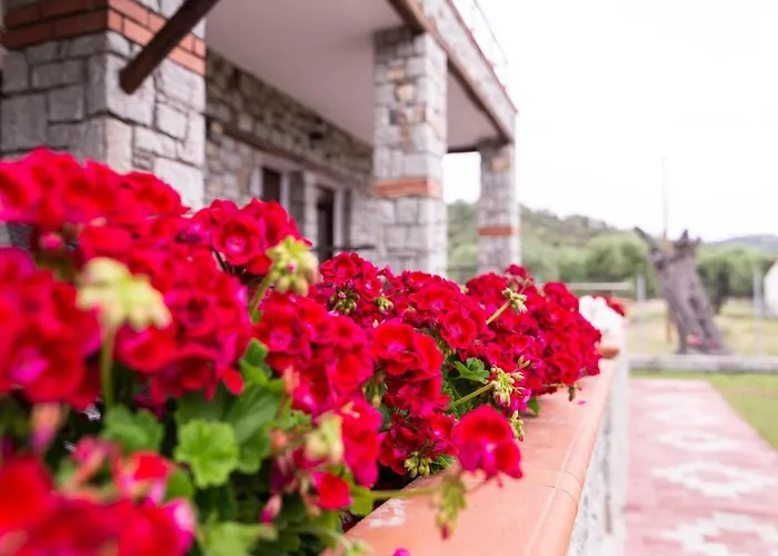 公寓 Theano 托罗尼